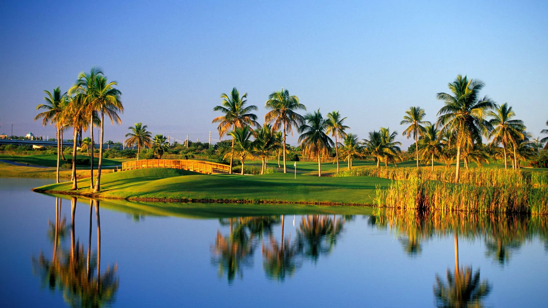 Hilton Ponce Golf & Casino Resort Puerto Rico