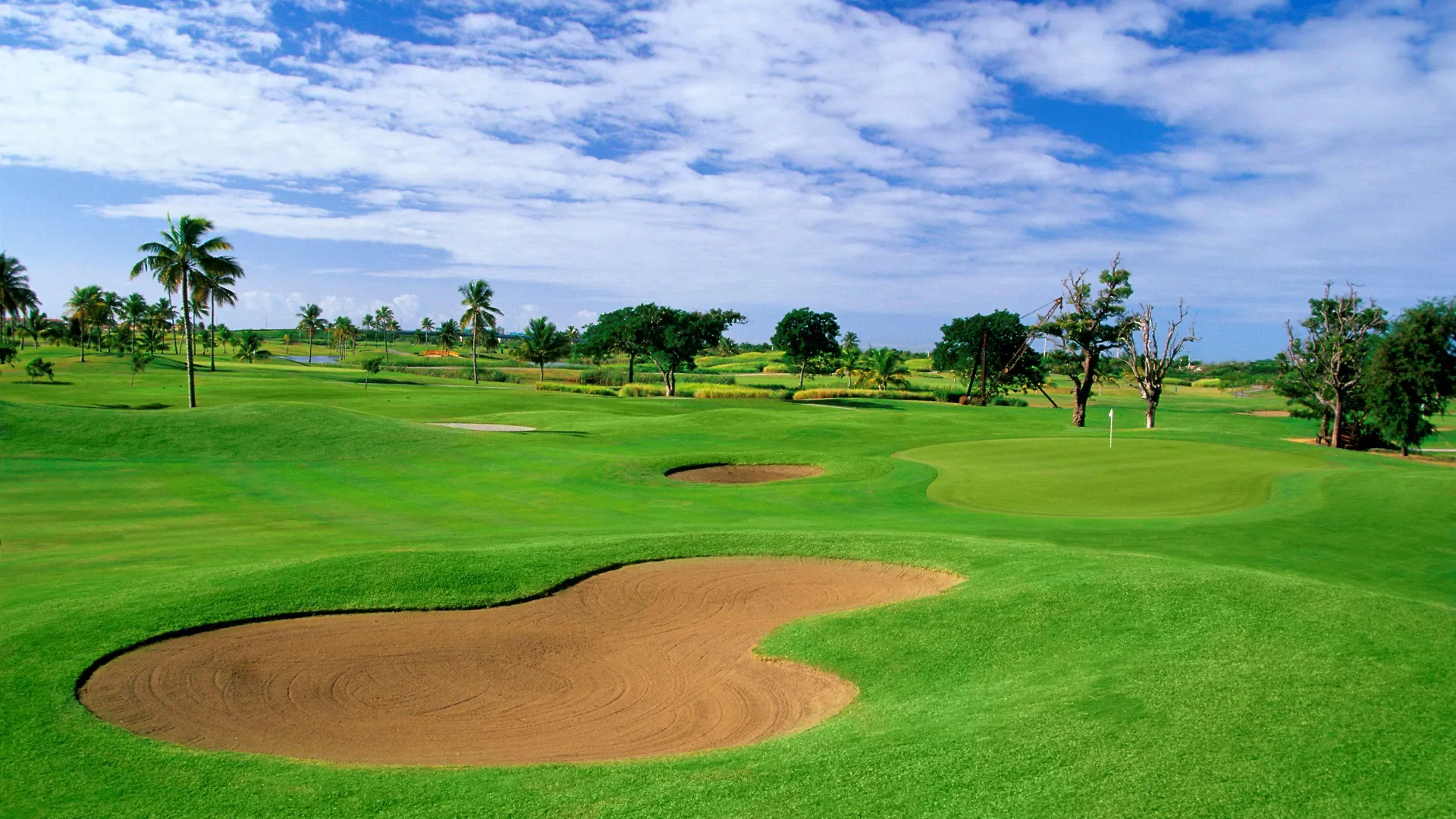 Hilton Ponce Golf & Casino Resort 3*,  Puerto Rico
